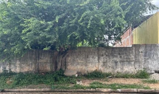 Imóvel 2423397 ['1444405743427'] - ['RUA CANGURU,N. S/N LT-567CA, QD148, SUB CENTRO - CEP: 65930-000, ACAILANDIA - MARANHAO'] [''] - ['Açailândia']/['MA'] - 1