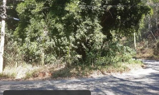 Imóvel 2096197 ['1444420615167'] - ['ESTRADA DE TERESOPOLIS,N. SN APTO. LT 1 LOTE, 169, GRANJA SPINELLI - CEP: 28625-805, NOVA FRIBURGO - RIO DE JANEIRO'] [''] - ['Nova Friburgo']/['RJ'] - 1