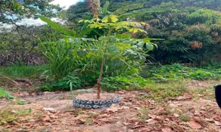 Imóvel 2596697 [''] - ['Nao informado Nao informado'] [''] - ['Conde']/['PB'] - 1