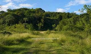 Imóvel 2998897 [''] - ['Área 10, S/N, Curitibaia - Antonina/PR'] [''] - ['Antonina']/['PR'] - 1
