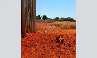 Imóvel 2660197 [''] - ['Rua Lindolfo Pereiras Santana S/N (Sitio 33 da Quadra 05)'] [''] - ['Unaí']/['MG'] - 1