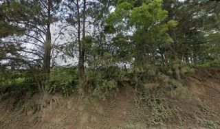 Imóvel 2458497 [''] - ['Fazenda Passa Dois, Distrito de Passo Manso, município de Taió'] [''] - ['Taió']/['SC'] - 1