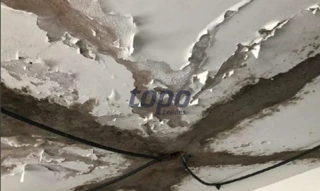 Imóvel 2620298 [''] - ['Rua Padre Vieira, 565 - Cambuí, Campinas - SP, CEP 13015-300'] ['Cambuí'] - ['Campinas']/['SP'] - 1