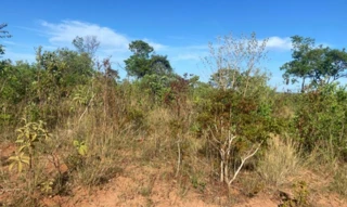 Imóvel 3028898 [''] - ['Fazenda Macacos, S/N, Área Rural de Luislândia, Luislândia, MG, 39336-000,'] [''] - ['Luislândia']/['MG'] - 1
