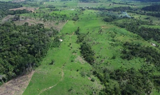 Imóvel 2911298 [''] - ['Lote Rural nº 72, da Gleba 11, do Projeto de Assentamento Rio Alto, Gleba Rio Alto, localizado neste Município de Buritis/RO'] [''] - ['Buritis']/['RO'] - 1