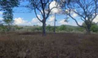 Imóvel 2915298 [''] - ['Fazenda Firmeza, situada em Orizona/GO'] [''] - ['Orizona']/['GO'] - 1