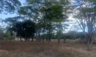 Imóvel 2915298 [''] - ['Fazenda Firmeza, situada em Orizona/GO'] [''] - ['Orizona']/['GO'] - 1