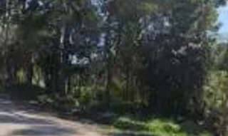 Imóvel 2500398 [''] - ['Parte do lote número 64, da Quinta Secção, Segunda Serie Oeste, com remanescente do mesmo lote 64, em parte pela Estrada da Linha Bento Gonçalves'] [''] - ['Nova Prata']/['RS'] - 1