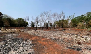 Imóvel 3042698 [''] - ['Chácara de terras sob nº26 (vinte e seis), da Quadra nº02 (dois), com a área de 1.075,00 metros quadrados, situada na planta do loteamento denominado CHACARAS AEROPORTO - NUCLEO "B, deste Município e Comarca de Sarandi-PR; com as seguintes divisas, metragens e confrontações: "DIVIDE-SE: Ao NORTE, com a chácara nº21 na distância de 20,00 metros; A LESTE, com a chácara nº25 na distância de 53,75 metros; Ao SUL, com a Rua Santa Catarina na distância de 20,00 metros; E finalm