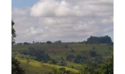 Imóvel rural em Lagamar, CRUZEIRO, FAZENDA SÃO BRAZ, LUGAR DENOMINADO CANA BRAVA OU TERRA VERMELHA, MG. Área: 136.67m2 Imóvel rural em Lagamar, CRUZEIRO, FAZENDA SÃO BRAZ, LUGAR DENOMINADO CANA BRAVA OU TERRA VERMELHA, MG. Área: 136.67m2