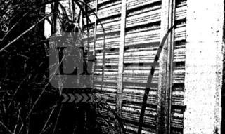 Imóvel 2605698 [''] - ['Rua 9 de Julho, Lote 10, Quadra 85 (Contíguo ao imóvel de n° 772), Centro, Pirajuí/SP., Pirajuí - SP'] [''] - ['Pirajuí']/['SP'] - 1