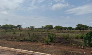 Imóvel 2609798 [''] - ['Lote nº 10 da Quadra nº 46'] [''] - ['Araguacema']/['TO'] - 1