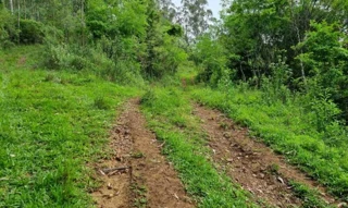 Imóvel 2527198 [''] - ['Lote rural n.º 119-C, Linha Araponga, Município de Itapuca'] [''] - ['Itapuca']/['RS'] - 1