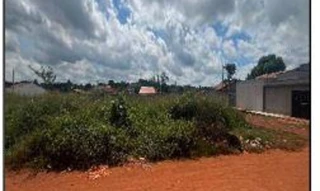Imóvel 2345098 ['1444406164366'] - ['RUA DAS OLIVEIRAS,N. SN QD18 LT3A-2, MONTE SINAI - CEP: 65930-000, ACAILANDIA - MARANHAO'] [''] - ['Açailândia']/['MA'] - 1