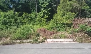 Imóvel 2664598 ['1444414961296'] - ['RODOVIA MANOEL URBANO AM-070,N. 77 QD 29, GLEBA CACAU PIREIRA - CEP: 69415-000, IRANDUBA - AMAZONAS'] [''] - ['Iranduba']/['AM'] - 1