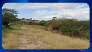 Imóvel 2617298 [''] - ['SÍTIO ALAGOINHA, ZONA RURAL'] [''] - ['Gravatá']/['PE'] - 1