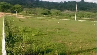 Imóvel 2541798 [''] - ['Rodovia BR-PE 160, Lts. 03 a 07 e 09 a 12 da Qd. “B”, Lts. 11 e 12 da Qd. “D” e Lts. 11, 16 e 17 da Qd. “E”, Parque Continental, Jataúba, PE'] [''] - ['Jataúba']/['PE'] - 1