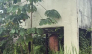 Imóvel 2693498 [''] - ['Rua Pastor Eurico Alfredo Nelson, 1714'] ['Agenor M. de Carvalho'] - ['Porto Velho']/['RO'] - 1