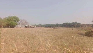 Imóvel 2645799 [''] - ['Denise, MT'] [''] - ['Denise']/['MT'] - 1