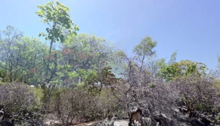 Imóvel 2823799 [''] - ['Zona Rural, S/N'] [''] - ['Paratinga']/['BA'] - 1