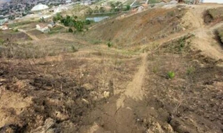 Imóvel 2887799 [''] - ['Rua Projetada 4, Timbaúba, PE'] [''] - ['Timbaúba']/['PE'] - 1
