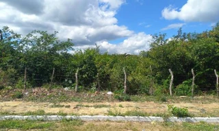 Imóvel 2493899 ['8444430101008'] - ['VIA LOCAL 17,N. SN LT07 QDR, SAO VICENTE DE PAULA - CEP: 64000-000, PARNAIBA - PIAUI'] ['São Vicente de Paula'] - ['Parnaíba']/['PI'] - 1