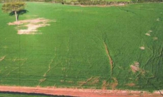 Imóvel 2603999 [''] - ['Nao informado Nao informado'] [''] - ['Guarapuava']/['PR'] - 1