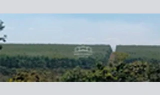 Imóvel 2660199 [''] - ['Nao informado Nao informado Fazenda Agropecuaria JMW'] [''] - ['João Pinheiro']/['MG'] - 1