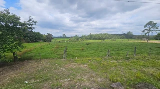 Imóvel 2617199 [''] - ['Estrada do Sul'] [''] - ['Joinville']/['SC'] - 1