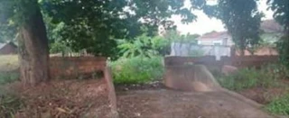 Imóvel 2725499 [''] - ['Rua Bernardino de Campos, 1562'] [''] - ['Pérola']/['PR'] - 1