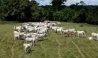 Imóvel 1701699 [''] - [''] [''] - ['outras']/['na'] - 1